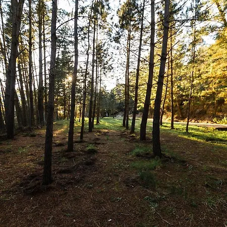 El Niu - L'amagatall De Cal Tonedor Séjour à la campagne Vallgorguina